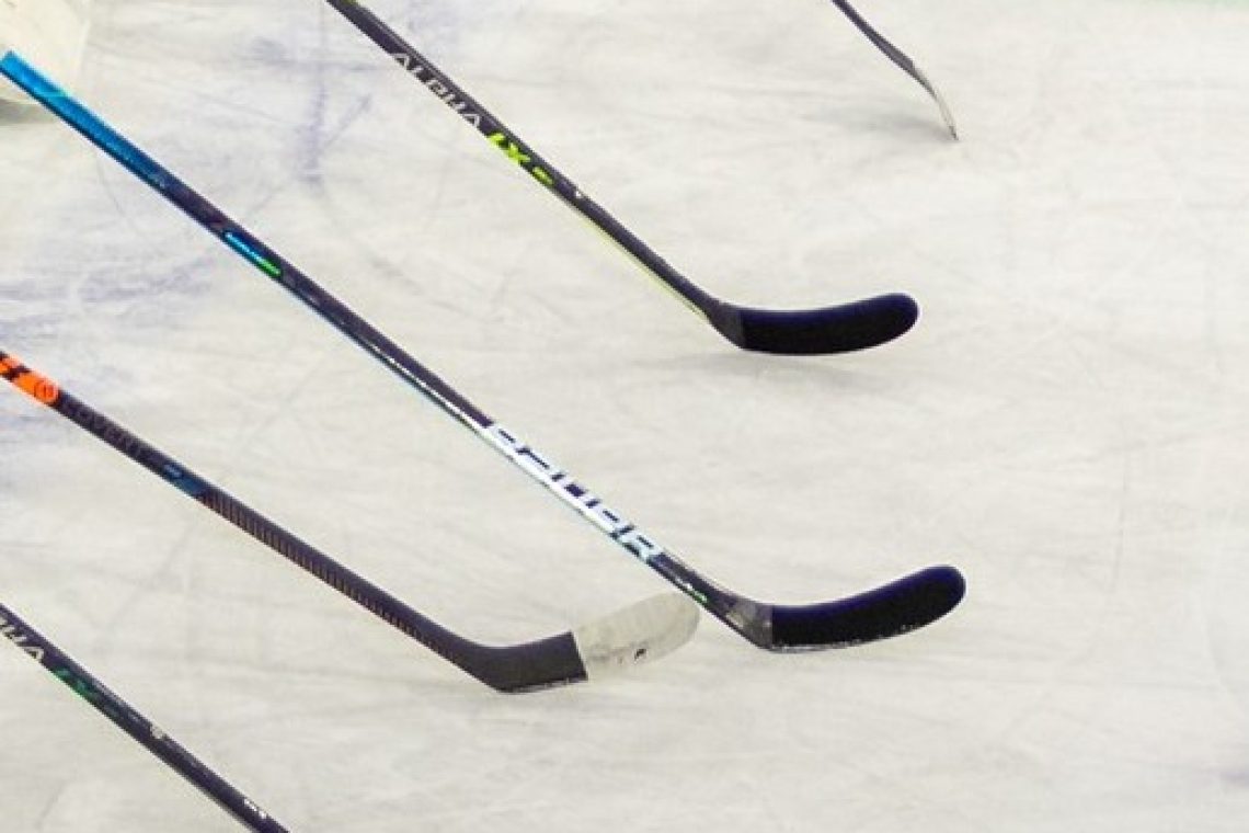 Carolina s finsko-češko pomočjo do gladke zmage poti Tampi