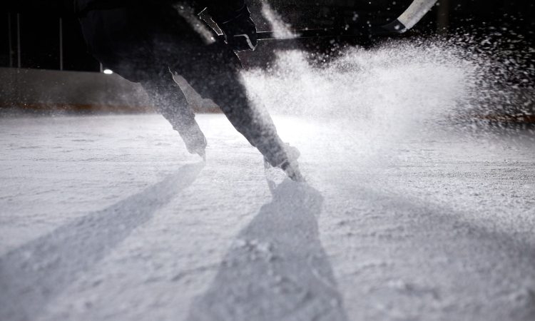 Kralji po podaljšku premagali Edmonton