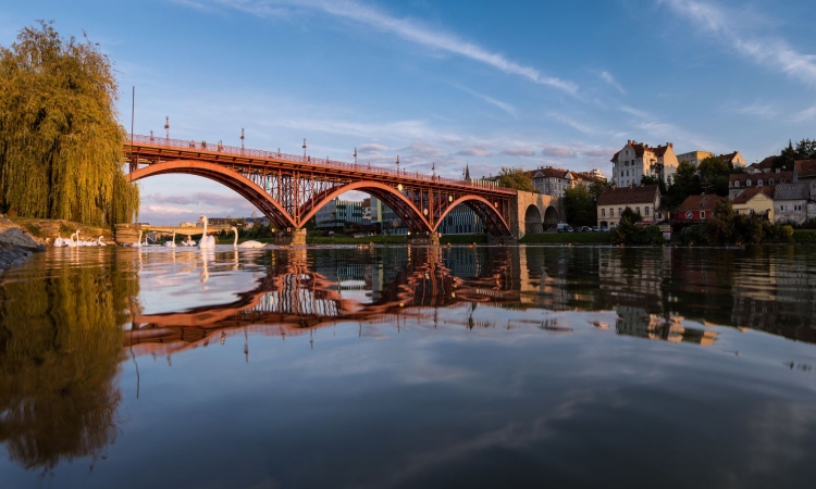 Mariborski mestni svet o poslovanju holdinga, novi varuhinji in električnih vozilih