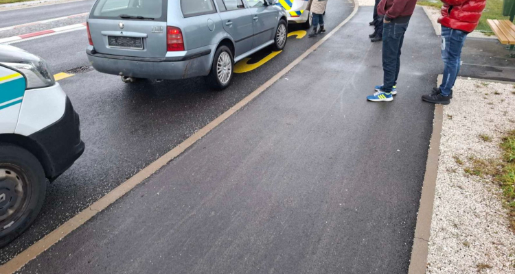 Policija in inšpektorji skupaj v nadzorih na območju Ribnice in Kočevja
