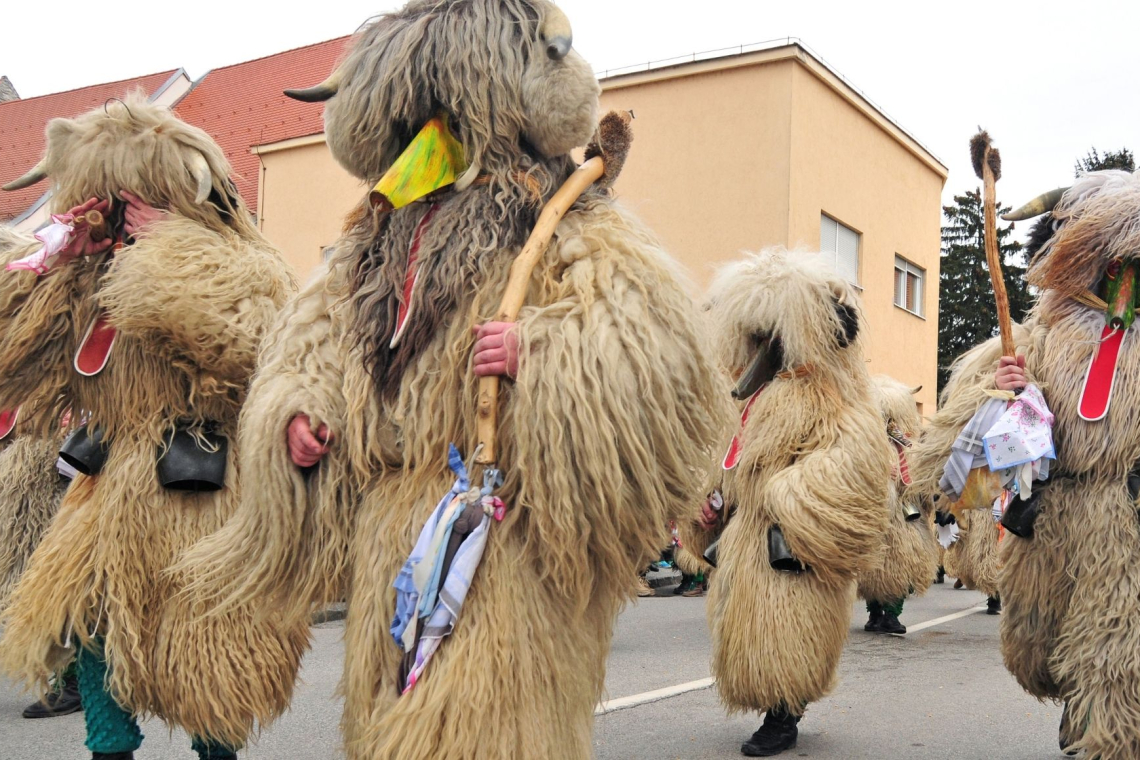 Obarjada na Ptuju letos za sedemletnega Tea