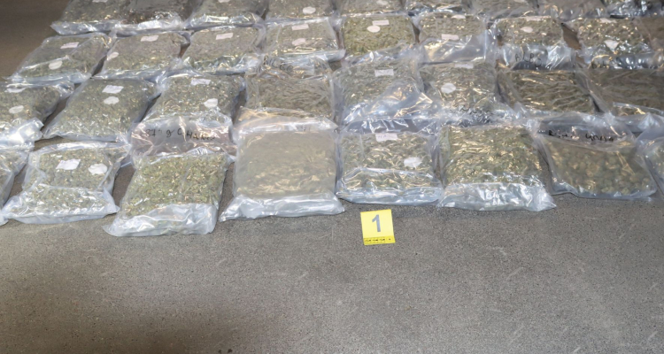 NPU v Ljubljani zasegel več kot 70 kilogramov droge in 80.000 evrov